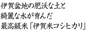 手創り柿の葉寿司