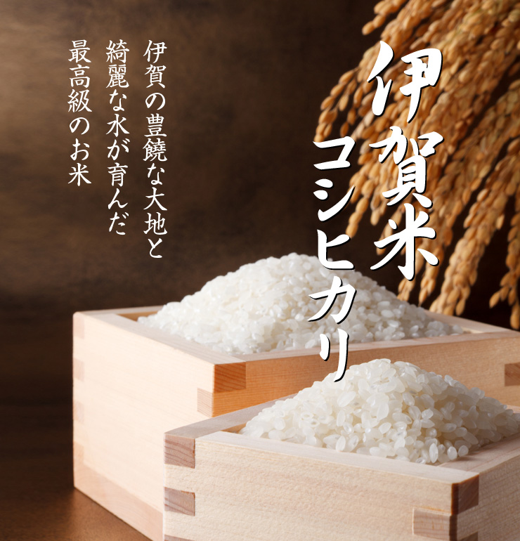 伊賀米コシヒカリ3kg(2023年度産)【特別栽培米】