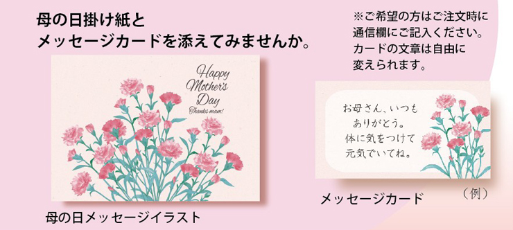 母の日ののしがみ